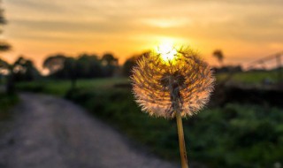 岁月静好的意思 岁月静好,安暖相伴,深话浅说,长路慢走,可以闺蜜说吗?