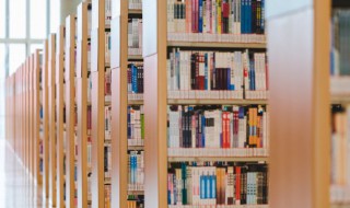 活着作者简介 活着作者简介主要内容