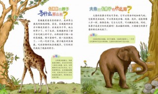 十万个为什么作者简介 十万个为什么作者简介10字