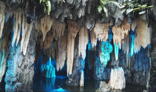 石钟乳是什么意思 石钟乳是什么意思石笋是什么意思