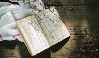 两小儿辩日作者简介（两小儿辩日作者简介资料）