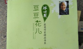 作者豆豆简介 天道作者豆豆简介