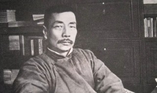 鲁迅简介的代表作品（鲁迅先生的简介及作品分类）
