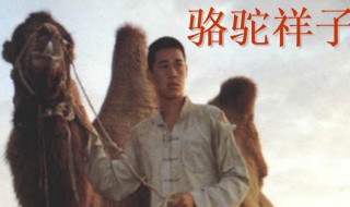 骆驼祥子作品简介 骆驼祥子作品简介200字