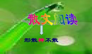 形散神不散怎样赏析 形散而神不散的例子