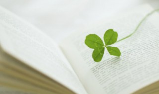 跟进是什么意思 动态跟进是什么意思