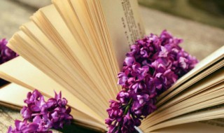 不温不火的意思 不愠不火的意思