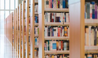 闪烁的意思是什么 闪烁的意思是什么(最佳答案