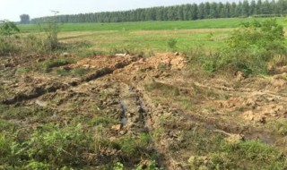 水来土掩兵来将挡是什么意思（山雨欲来风满楼的意思是什么）