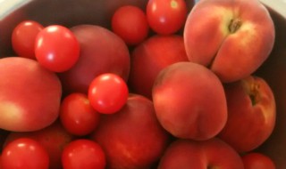 赤朱丹彤意思是什么