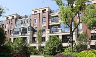 楼王是什么意思