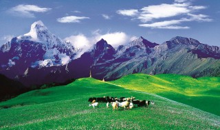 幅员辽阔的意思 成语幅员辽阔的意思