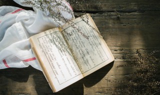 风烛残年的意思（风烛残年的意思解释10个字）