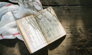 由此及彼意思 由此及彼意思是什么意思