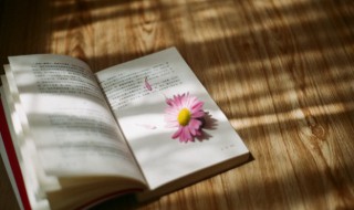 烂若舒锦意思 烂若舒锦,希旨承颜