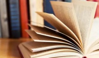 爱民如子意思 爱民如子下一句应该怎么写