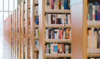 柔肠百结意思（柔肠百结 释义）