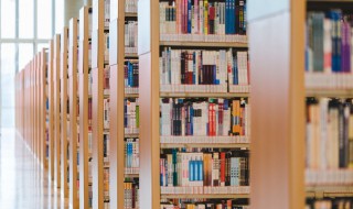 迟疑的近义词（执意的近义词）