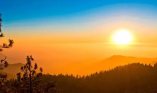 早晨的近义词（早晨的近义词是什么）