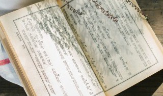 沉郁的近义词 沉郁的反义词