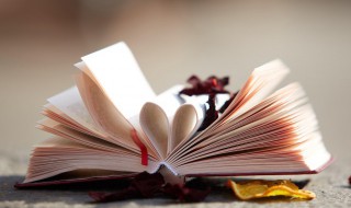 旅行的近义词（旅行的近义词二年级上册）