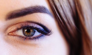 爱护眼睛的内容 爱护眼睛的内容怎么写