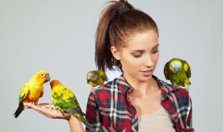 爱护鸟类的好处（请你从生态环境的角度谈谈爱护鸟类的好处）