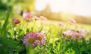 云南气候特点（云南大理气候特点）