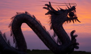 龙象征着什么（龙的寓意吉祥语）