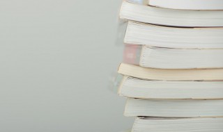 名札是什么（名札是什么jk）