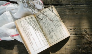 抱薪救火的意思解释是什么（抱薪救火是什么意思解释一下）