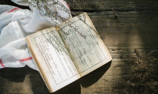 朦胧的胧怎么组词（朦胧的胧怎么组词啊）