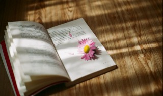 仿佛的仿怎么组词 仿佛的仿怎么组词四字词语