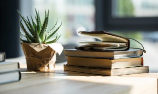 狮子的狮怎么组词（狮子的狮怎么组词不是词尺子的词）