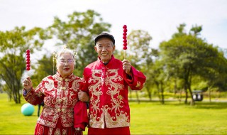 白头偕老的意思解释是什么 白头偕老的意思解释是什么生肖