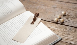 弊帚自珍的意思解释（敝帚自珍的弊是什么意思）