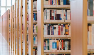 博文约礼的意思解释（博文约礼的意思解释是什么）