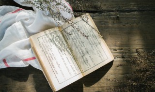 兵马未动粮草先行的意思解释（兵马未动粮草先行的意思解释）