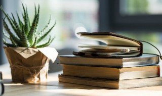 小数点的故事（小数点的故事图文结合）