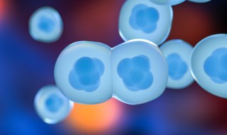 生物分为 生物分为哪五界