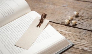 红楼梦什么时候写的（红楼梦第十回主要内容）