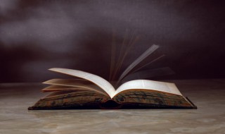 thelastleaf概括（thelastleaf主要内容概括）