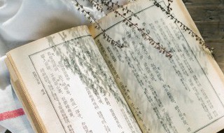 咬文嚼字概括 咬文嚼字概括内容