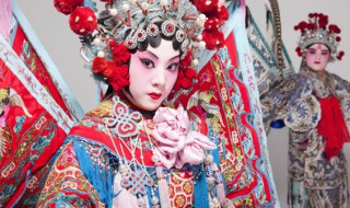 李逵探母概括（李逵探母概括100字）