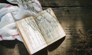 钢铁钢铁是怎样炼成的概括 钢铁是怎样炼成的内容概述