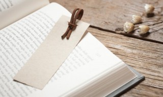 鸡黍之交概括（鸡黍之交概括典故）