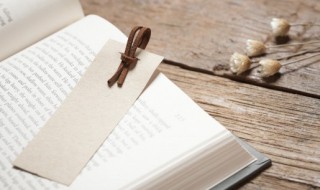 沉浸怎么读（沉浸怎么读音发音）