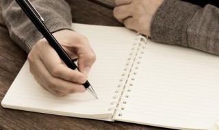 根鸟第一章概括（根鸟第一章内容概括）