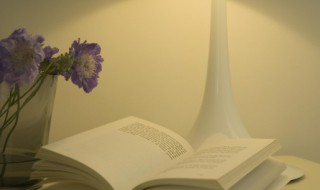 蹑怎么组词（蹑字怎么组词）