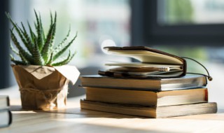 哈怎么组词（嘻怎么组词）